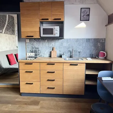 Elegant Rooftop Studio With Shared Terrace And Jacuzzi Апартаменты Будапешт