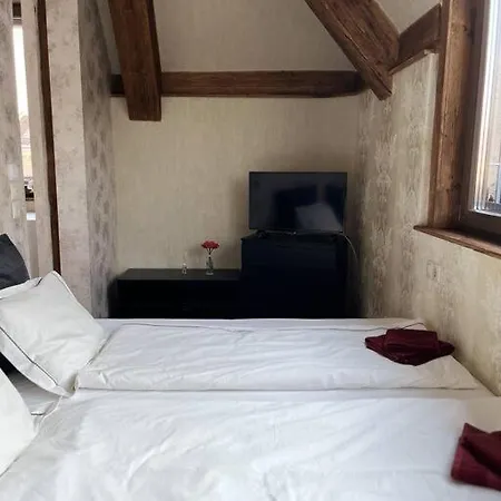 Elegant Rooftop Studio With Shared Terrace And Jacuzzi בודפשט