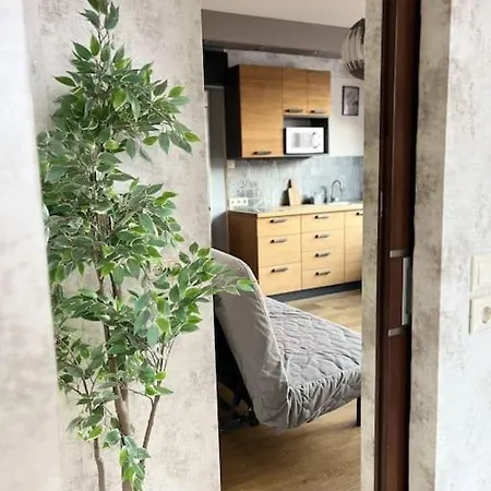 Elegant Rooftop Studio With Shared Terrace And Jacuzzi Apartmán